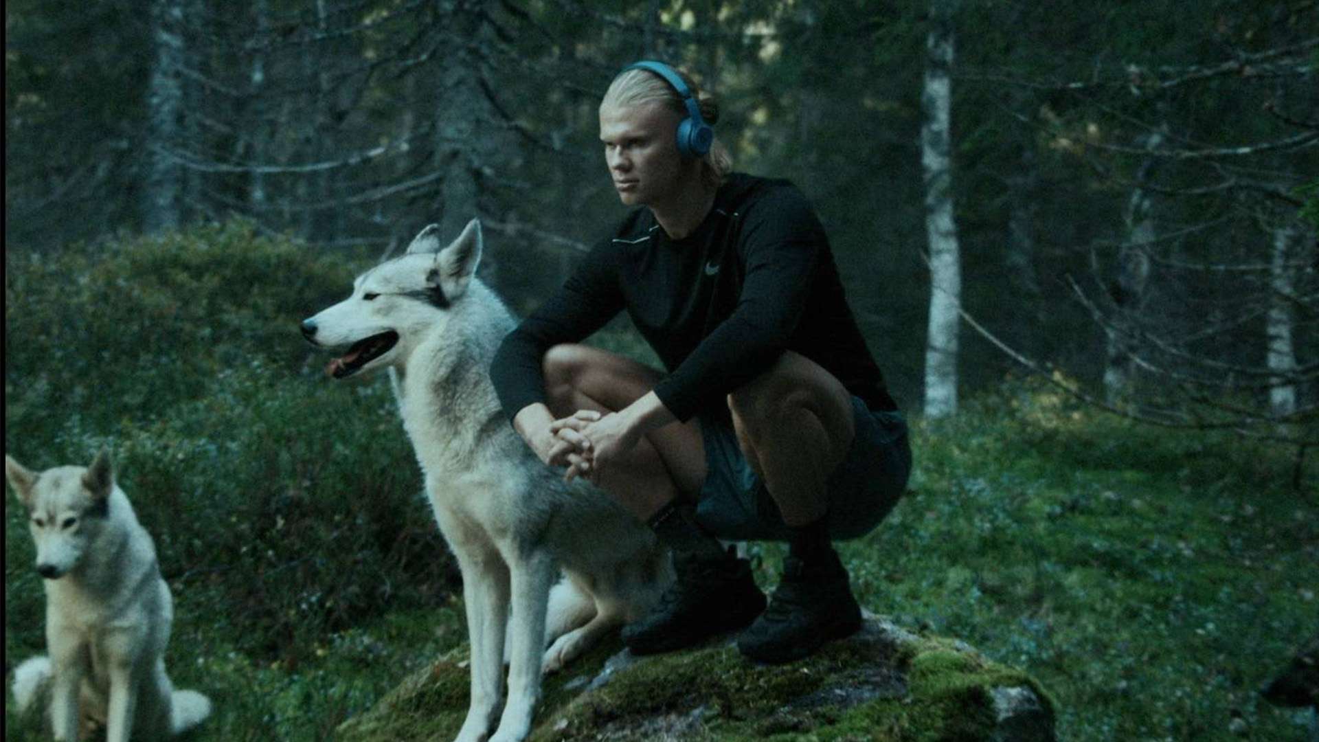 浙江队与武里南联冲突升级！博主曝汶玛探对浙江球员口出恶言